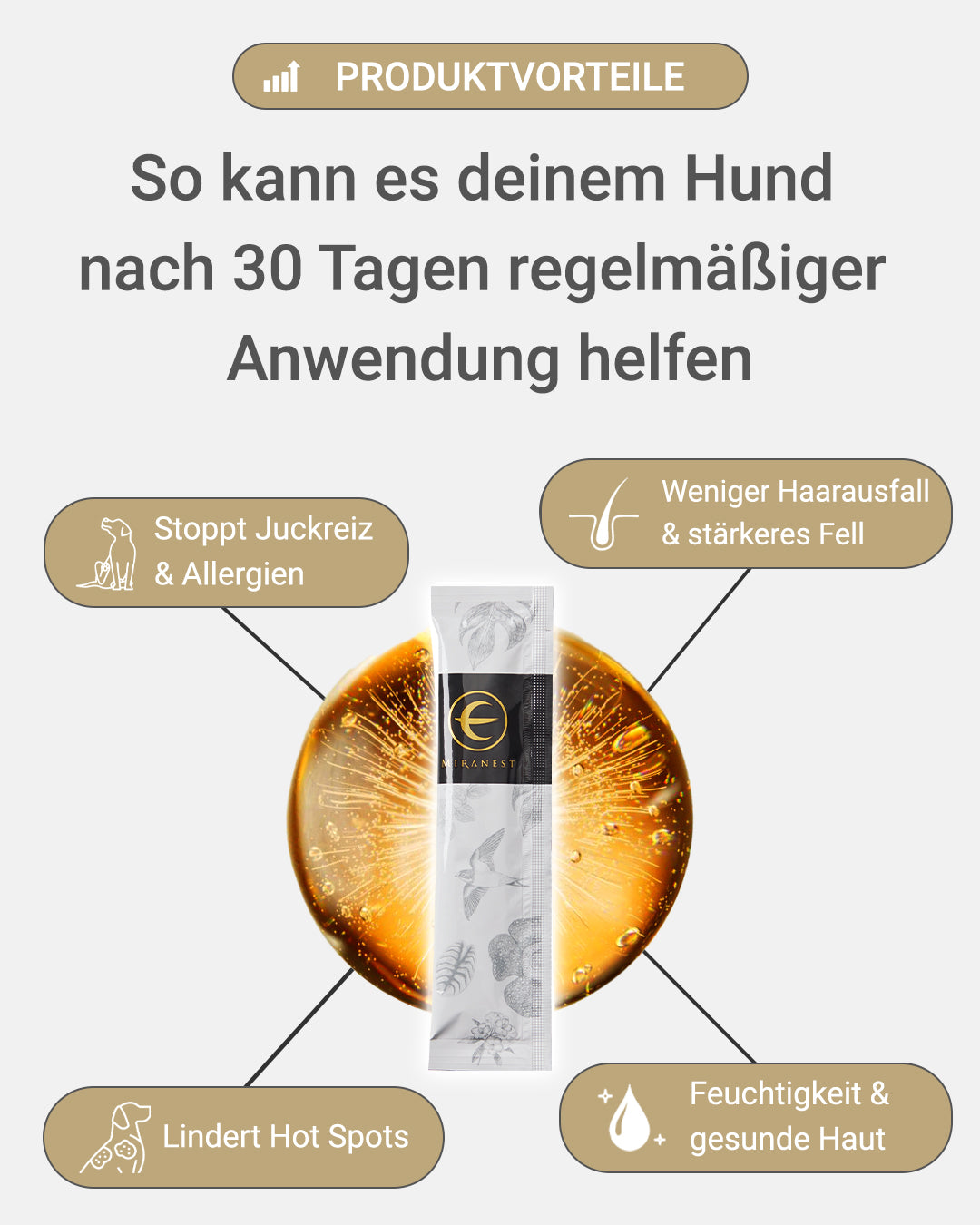 MIRANEST Jelly Stick für Hunde (30er-Packung)