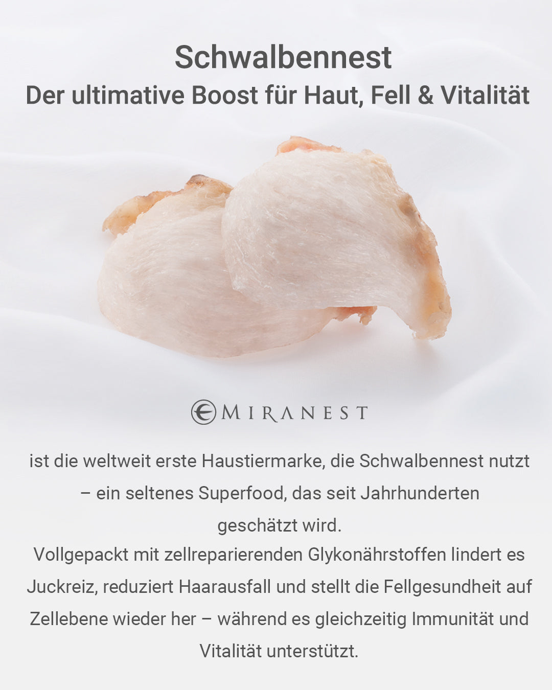 MIRANEST Jelly Stick für Hunde (30er-Packung)