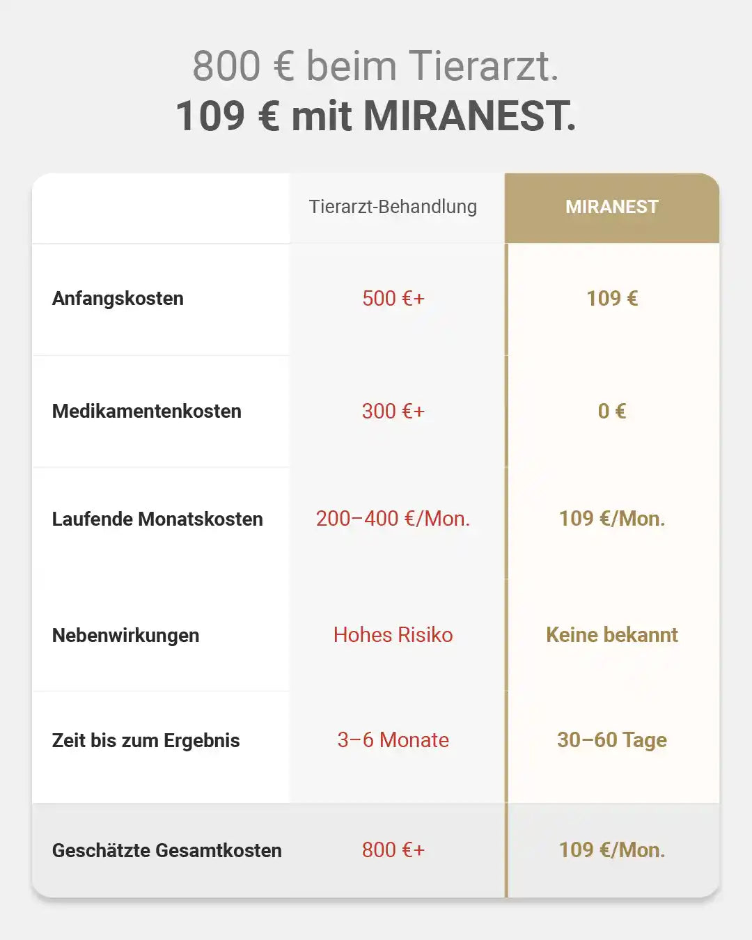 MIRANEST Jelly Stick für Hunde - 30er-Packung