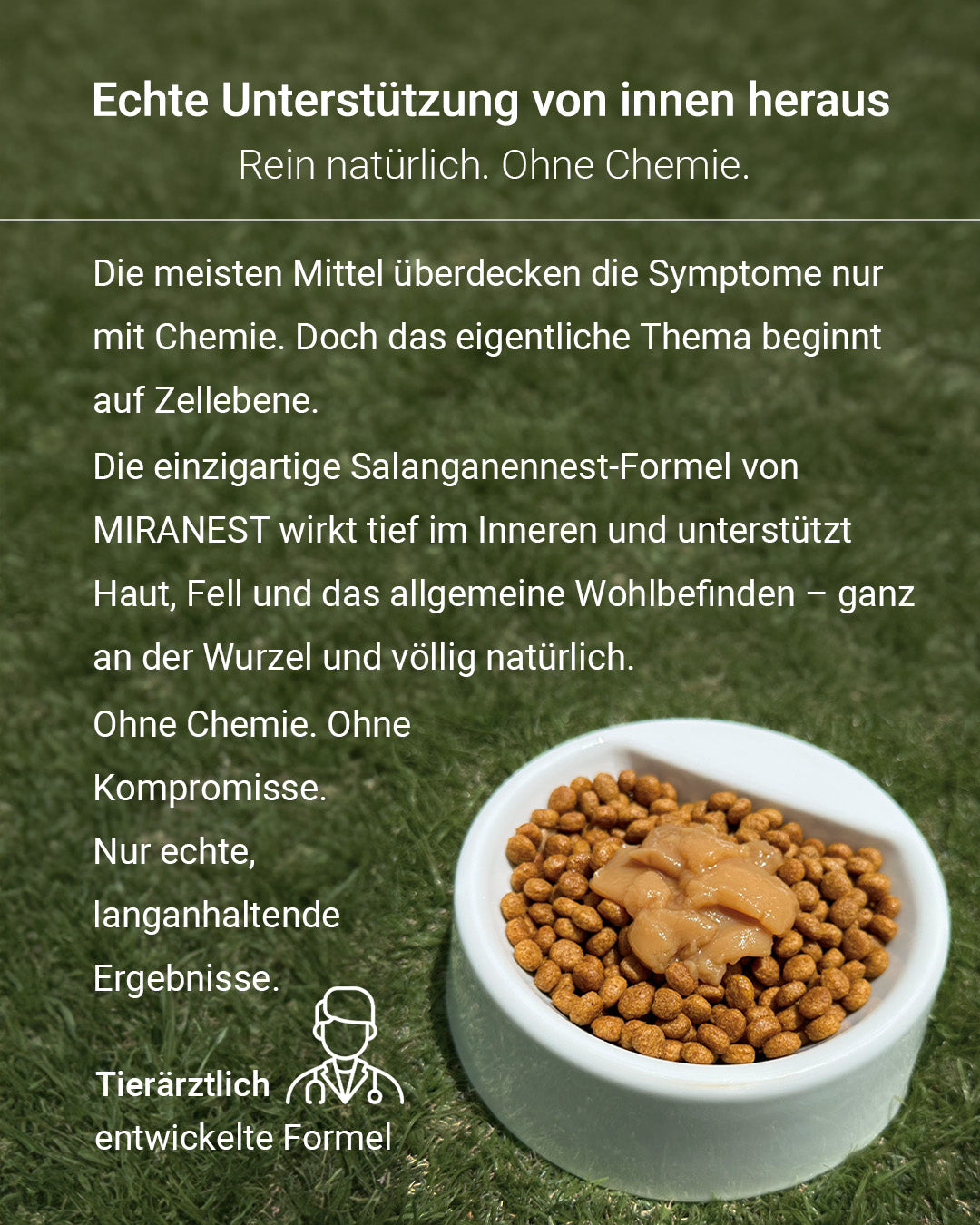 MIRANEST Jelly Stick für Hunde mit Allergien – 30er-Packungs