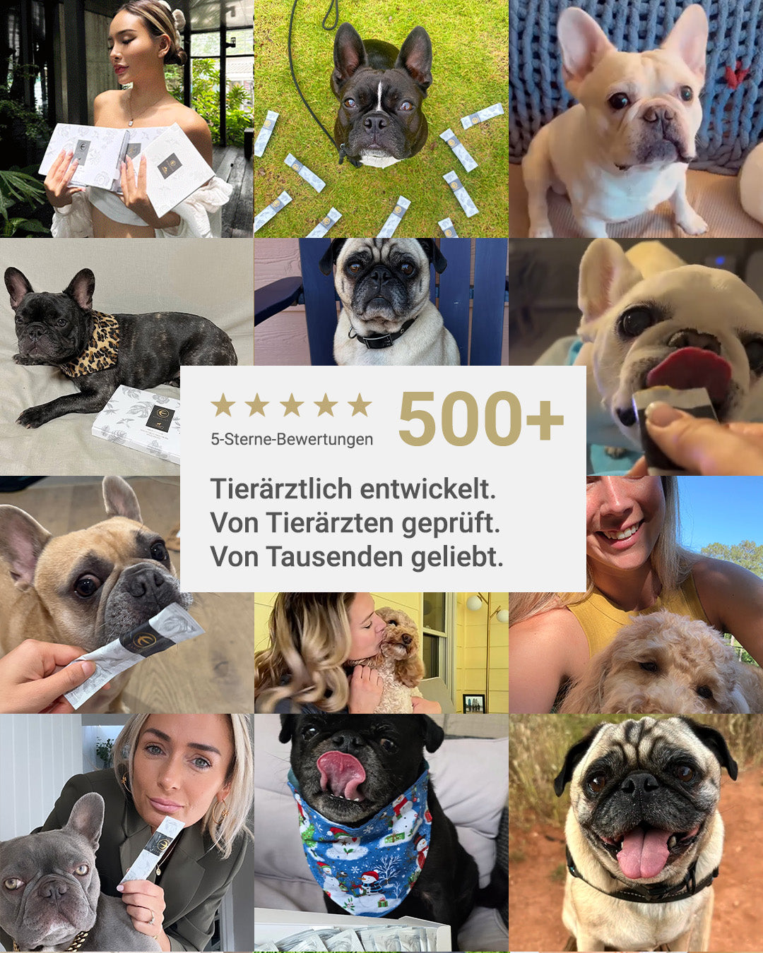 MIRANEST Jelly Stick für Hunde mit Allergien – 30er-Packungs