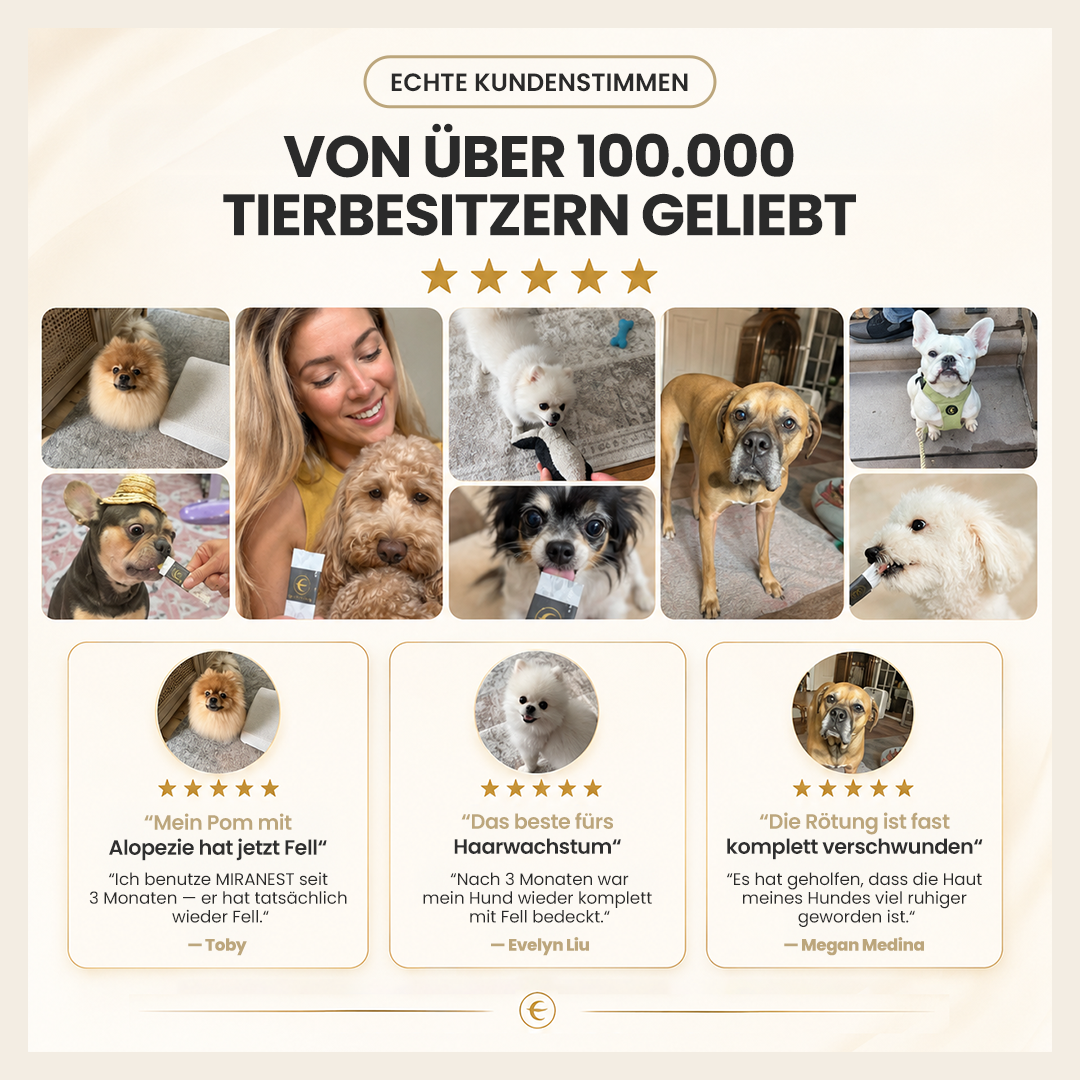 MIRANEST Jelly Stick für Hunde - 30er-Packung