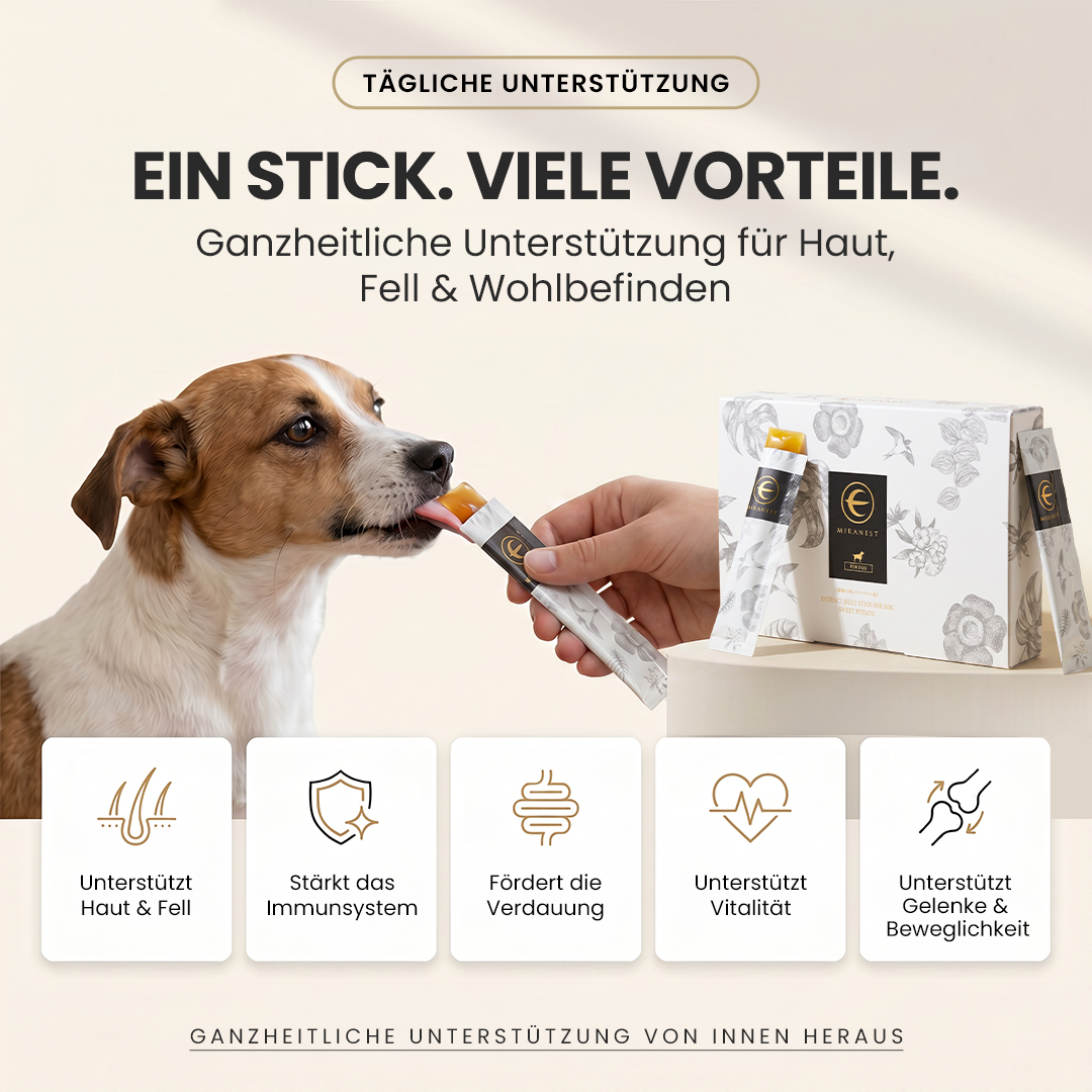 MIRANEST Jelly Stick für Hunde - 30er-Packung