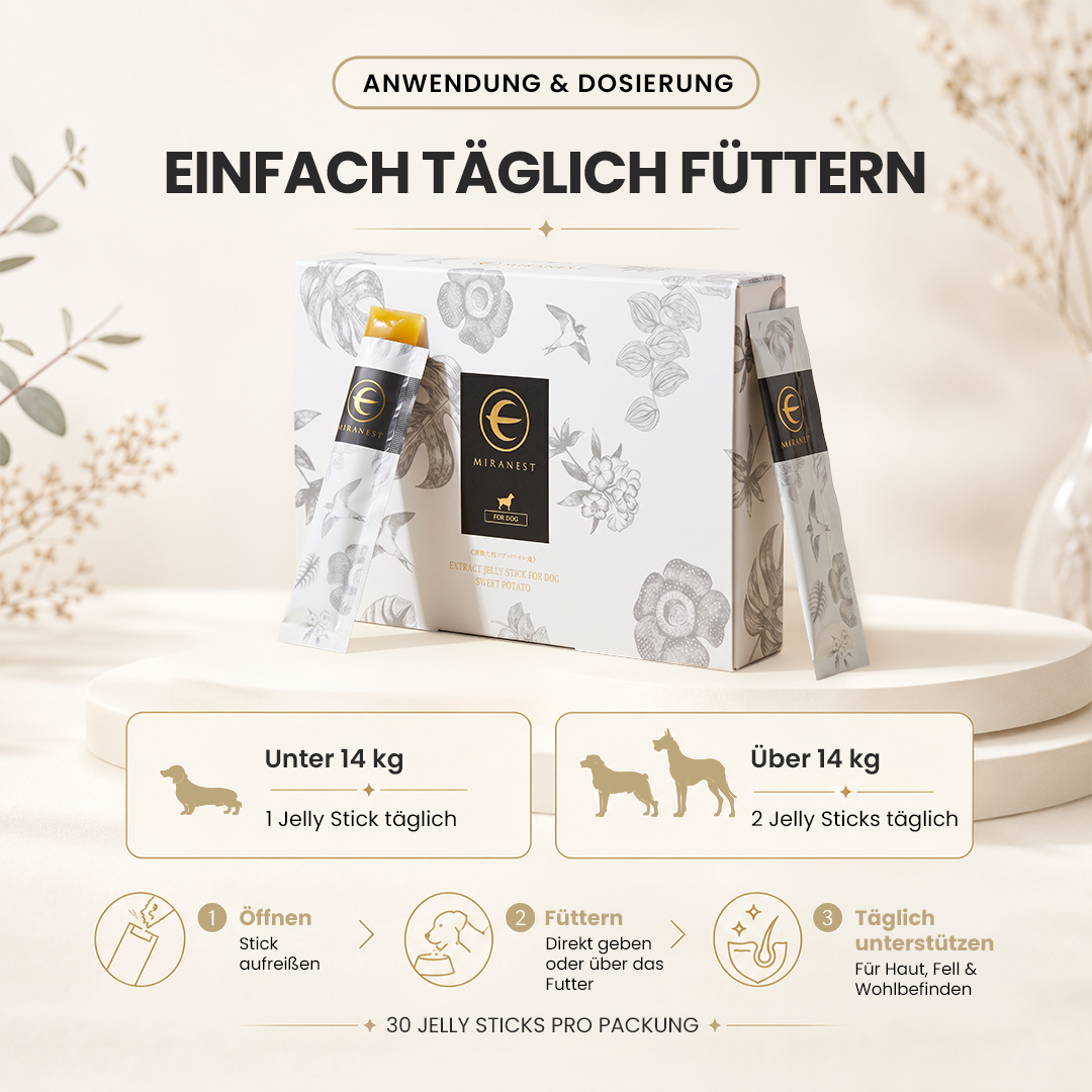 MIRANEST Jelly Stick für Hunde - 30er-Packung