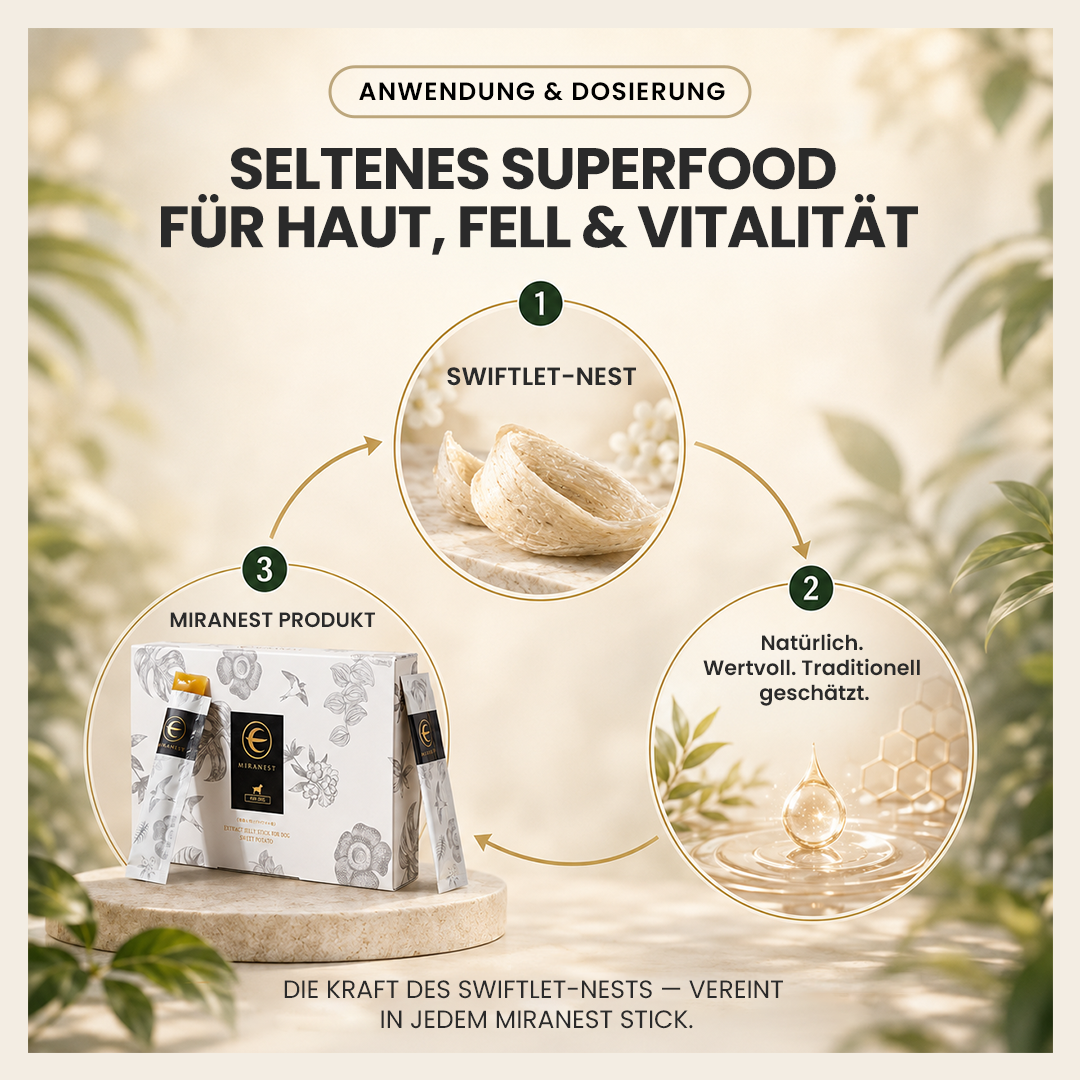 MIRANEST Jelly Stick für Hunde - 30er-Packung