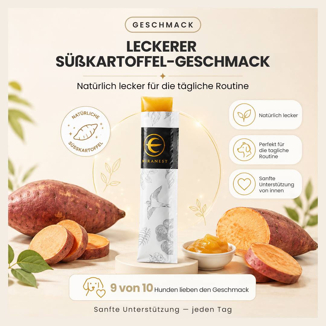 MIRANEST Jelly Stick für Hunde - 30er-Packung