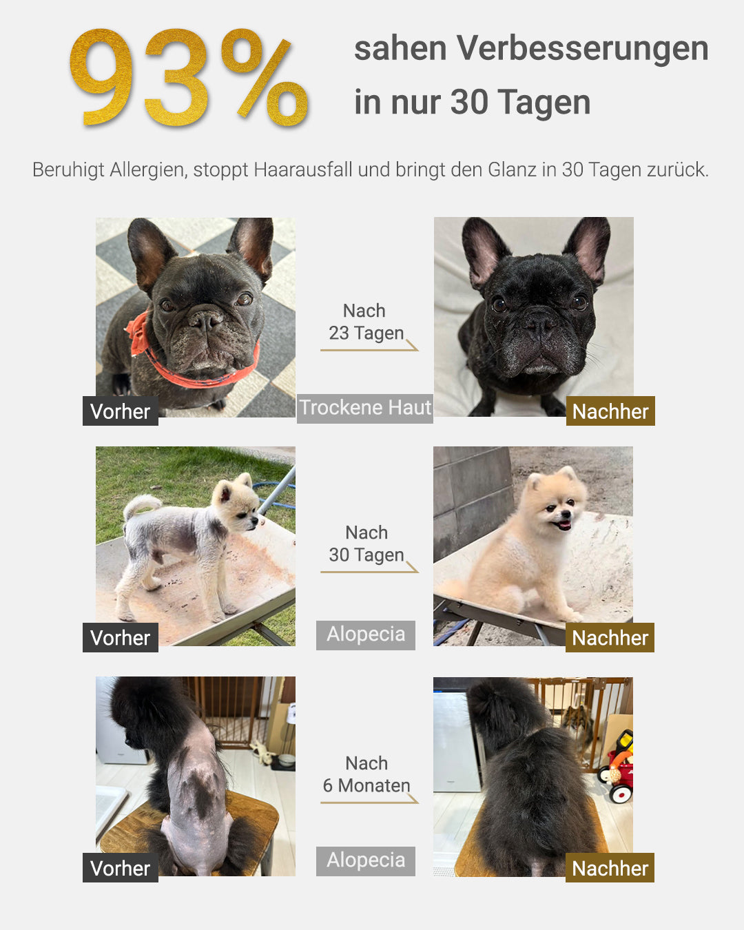 MIRANEST Jelly Stick für Hunde (30er-Packung)