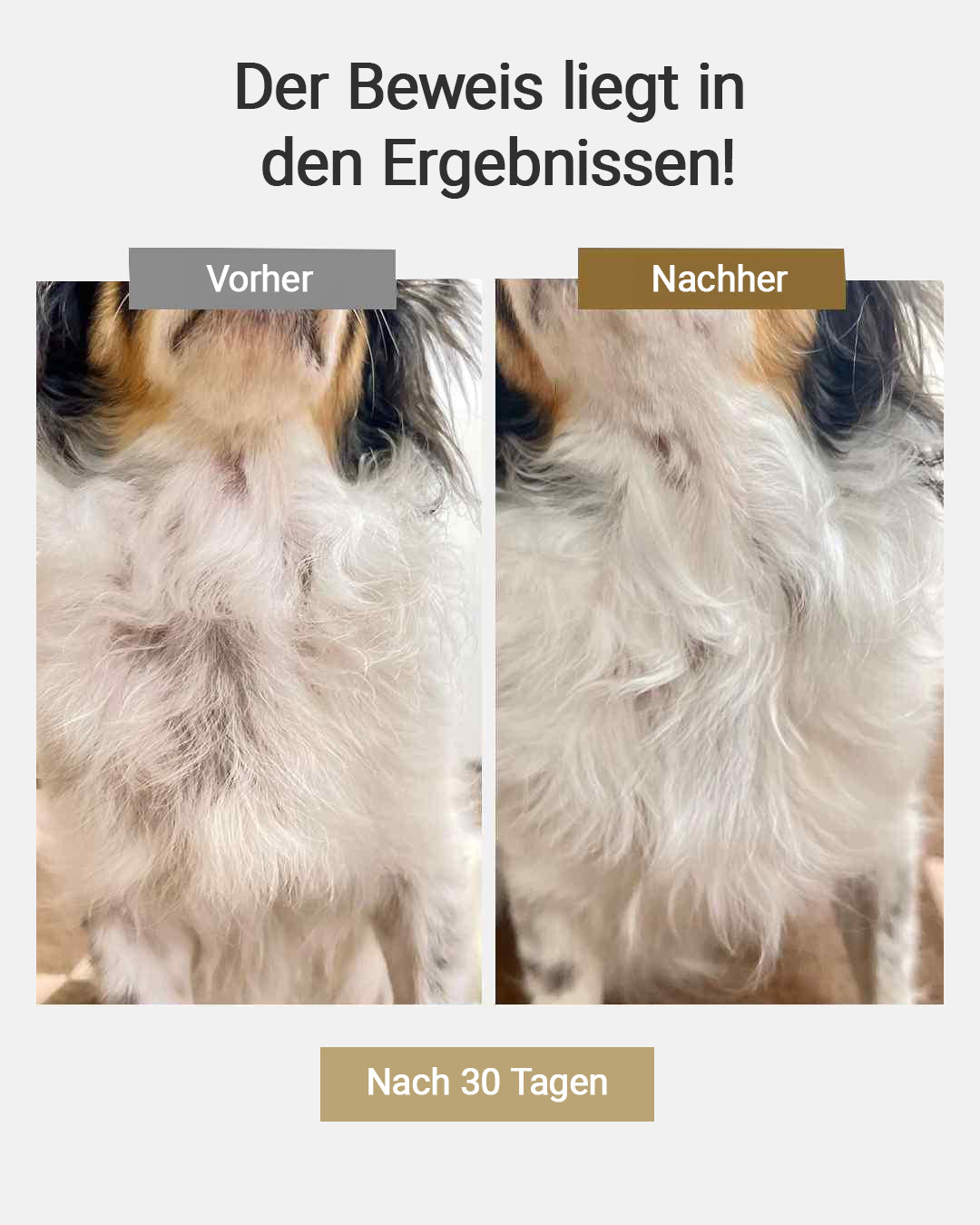 MIRANEST Lotion für Hunde & Katzen - 100 ml