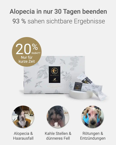 MIRANEST Jelly Stick für Hunde - 30er-Packung