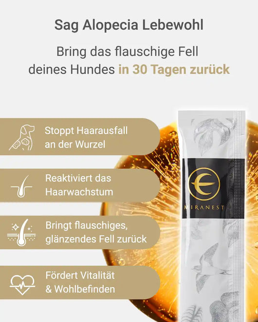 MIRANEST Jelly Stick für Hunde - 30er-Packung