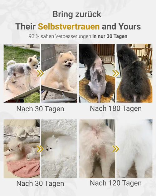 MIRANEST Jelly Stick für Hunde - 30er-Packung