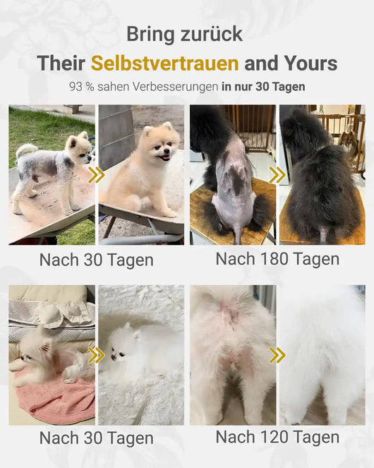 MIRANEST Jelly Stick für Hunde - 30er-Packung