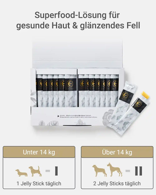 MIRANEST Jelly Stick für Hunde - 30er-Packung