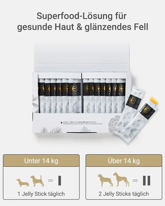 MIRANEST Jelly Stick für Hunde - 30er-Packung
