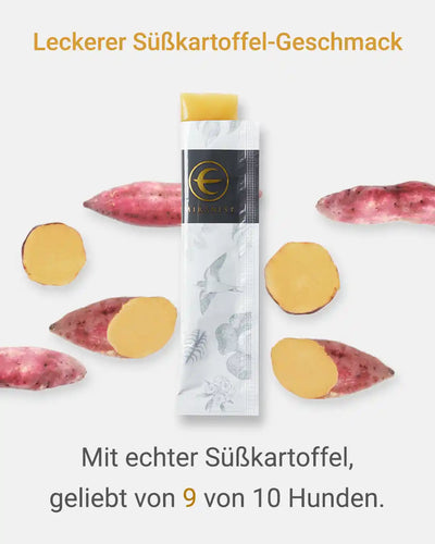 MIRANEST Jelly Stick für Hunde - 30er-Packung