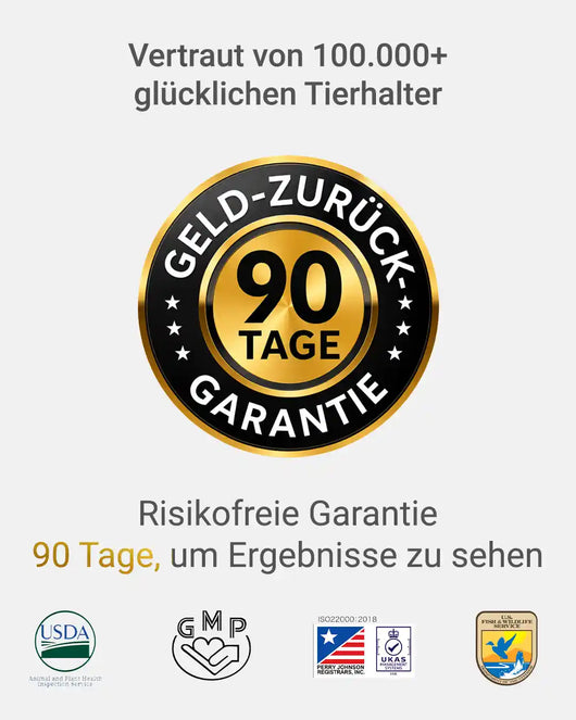 MIRANEST Jelly Stick für Hunde - 30er-Packung