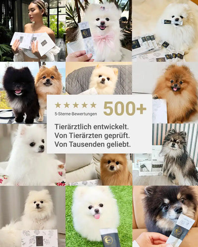 MIRANEST Jelly Stick für Hunde - 30er-Packung