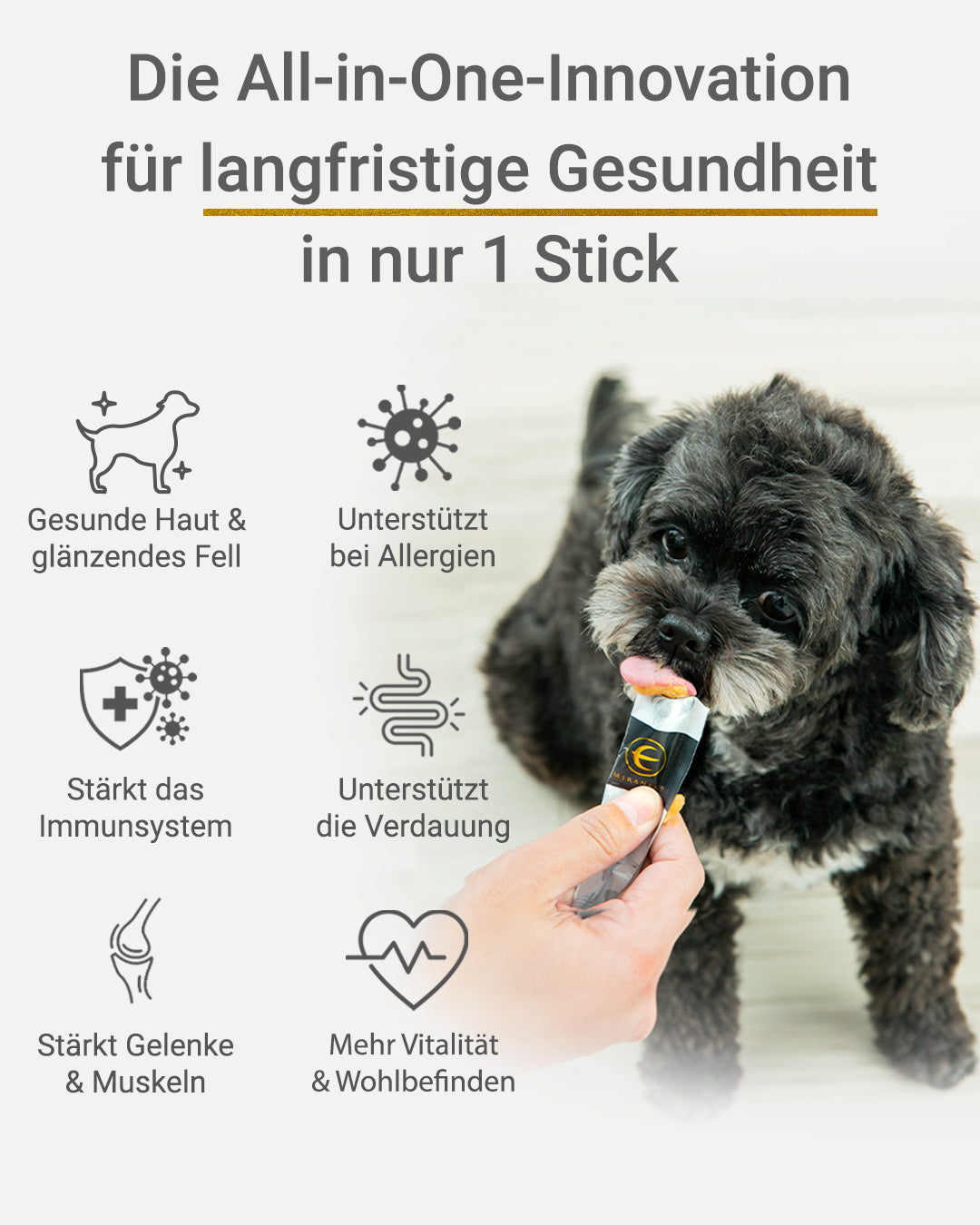 MIRANEST Jelly Stick für Hunde mit Allergien – 30er-Packungs