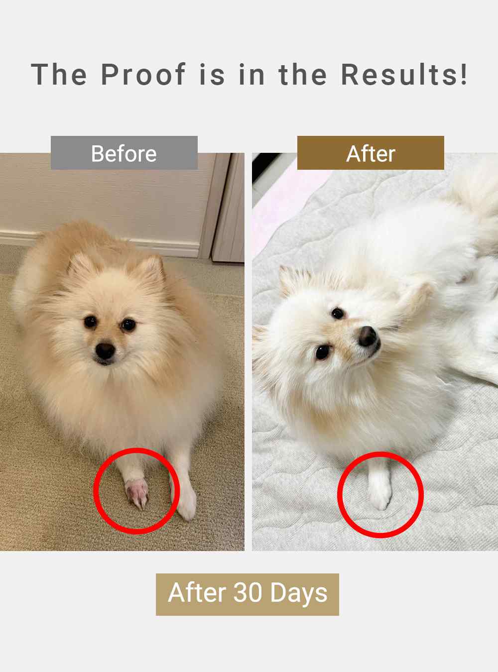 MIRANEST Paw Care Cream for Dog & Cat - 0.7 oz (20g)