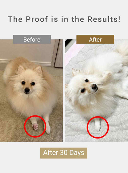 MIRANEST Paw Care Cream for Dog & Cat - 0.7 oz (20g)