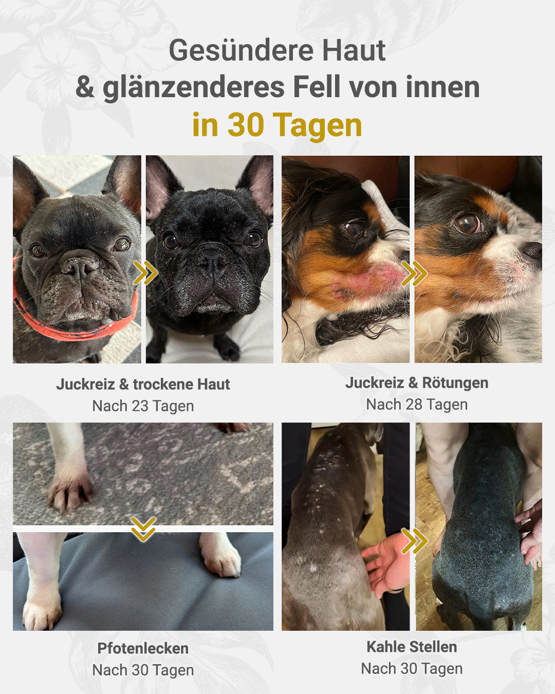 MIRANEST Jelly Stick für Hunde mit Allergien – 30er-Packungs