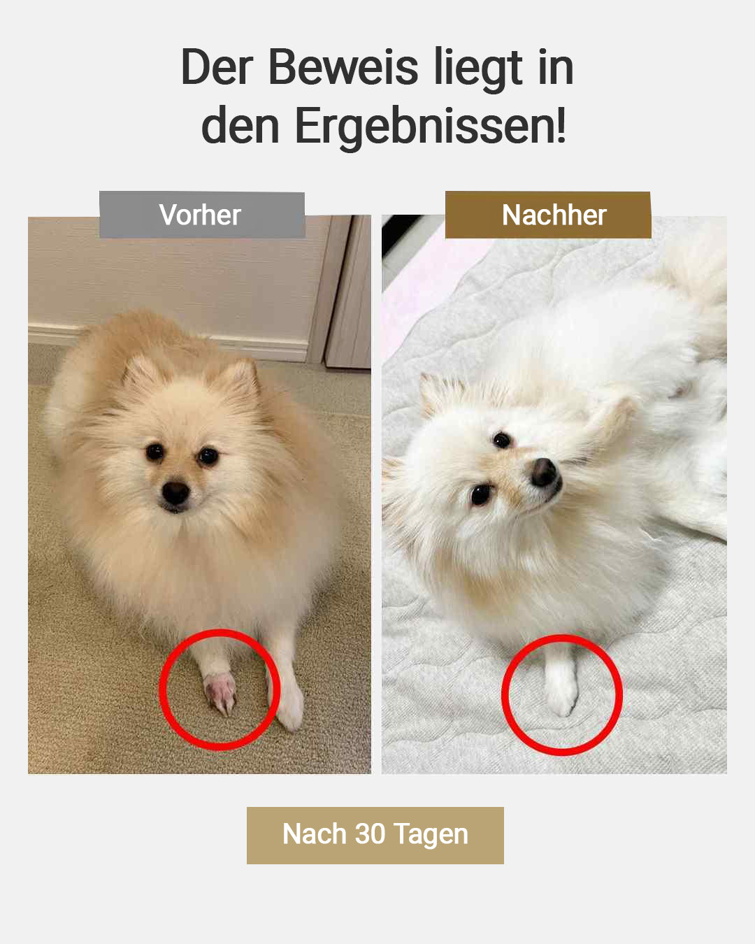 MIRANEST Pfotenpflegecreme für Hunde und Katzen - 20g