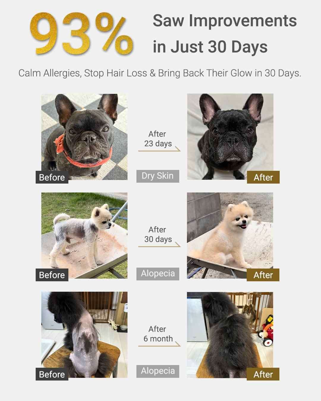 MIRANEST Jelly Stick for Dog - 30 Packs