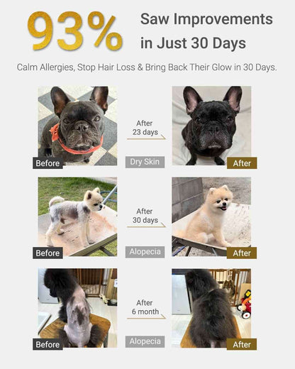 MIRANEST Jelly Stick for Dog - 30 Packs