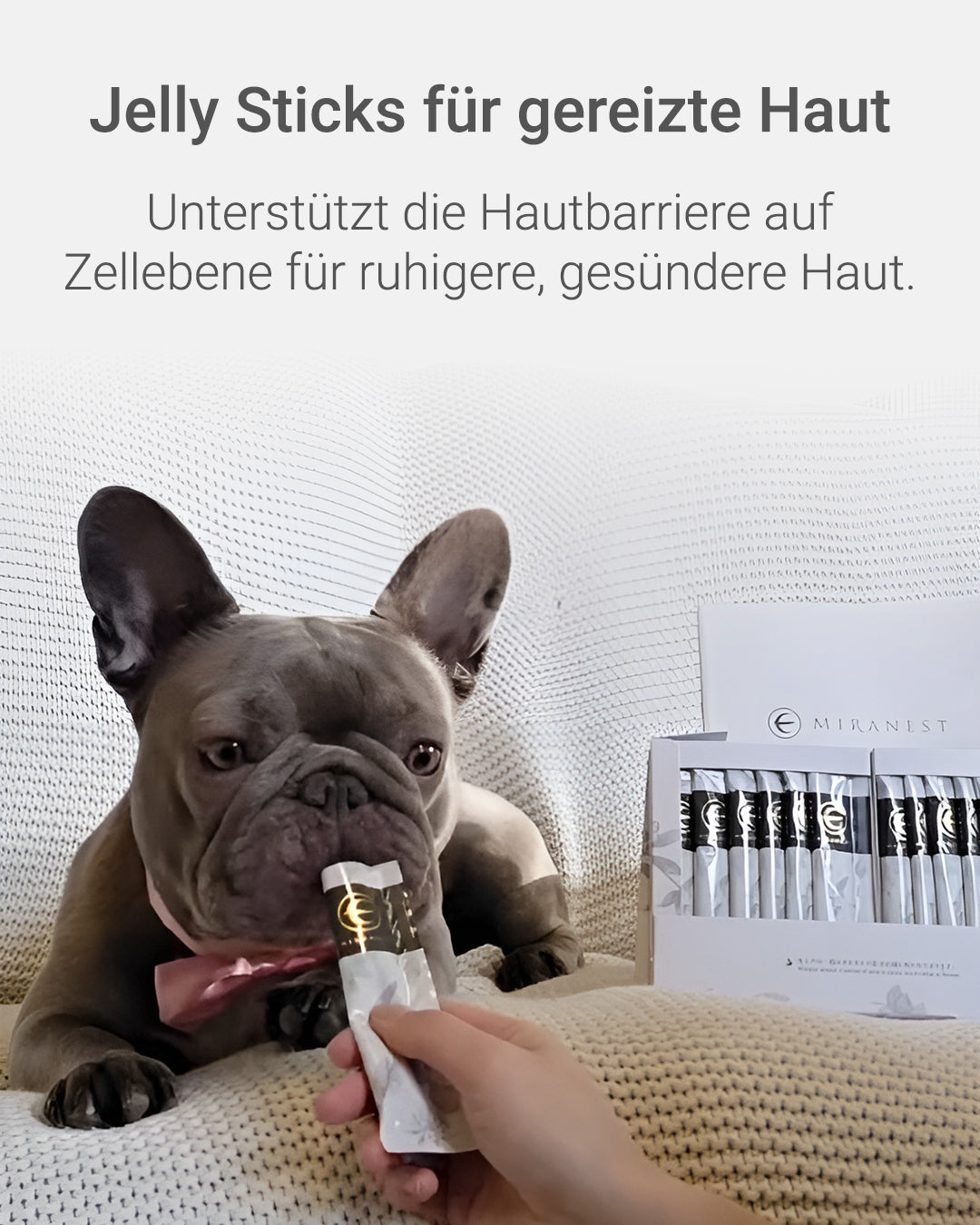 MIRANEST Jelly Stick für Hunde mit Allergien – 30er-Packungs