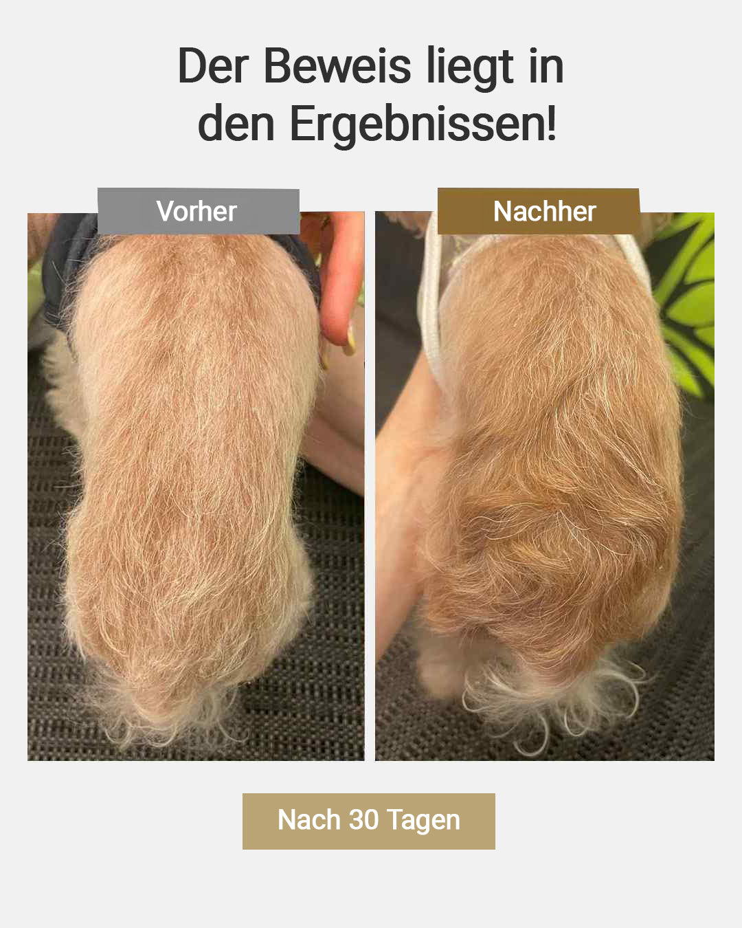 MIRANEST Shampoo für Hunde und Katzen - 120 ml