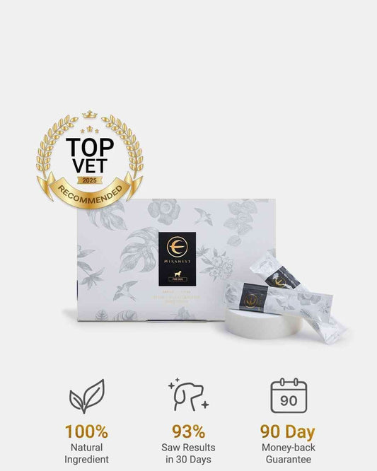 MIRANEST Jelly Stick for Dog - 30 Packs