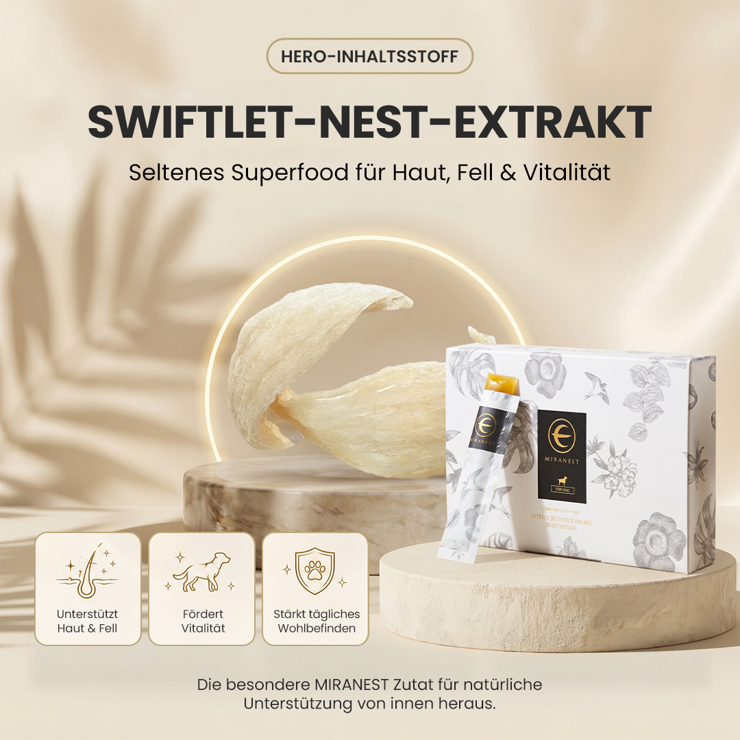 MIRANEST Jelly Stick für Hunde - 30er-Packung