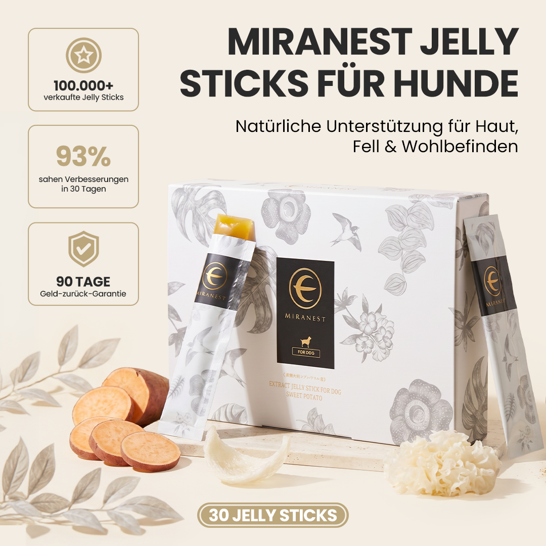 MIRANEST Jelly Stick für Hunde - 30er-Packung