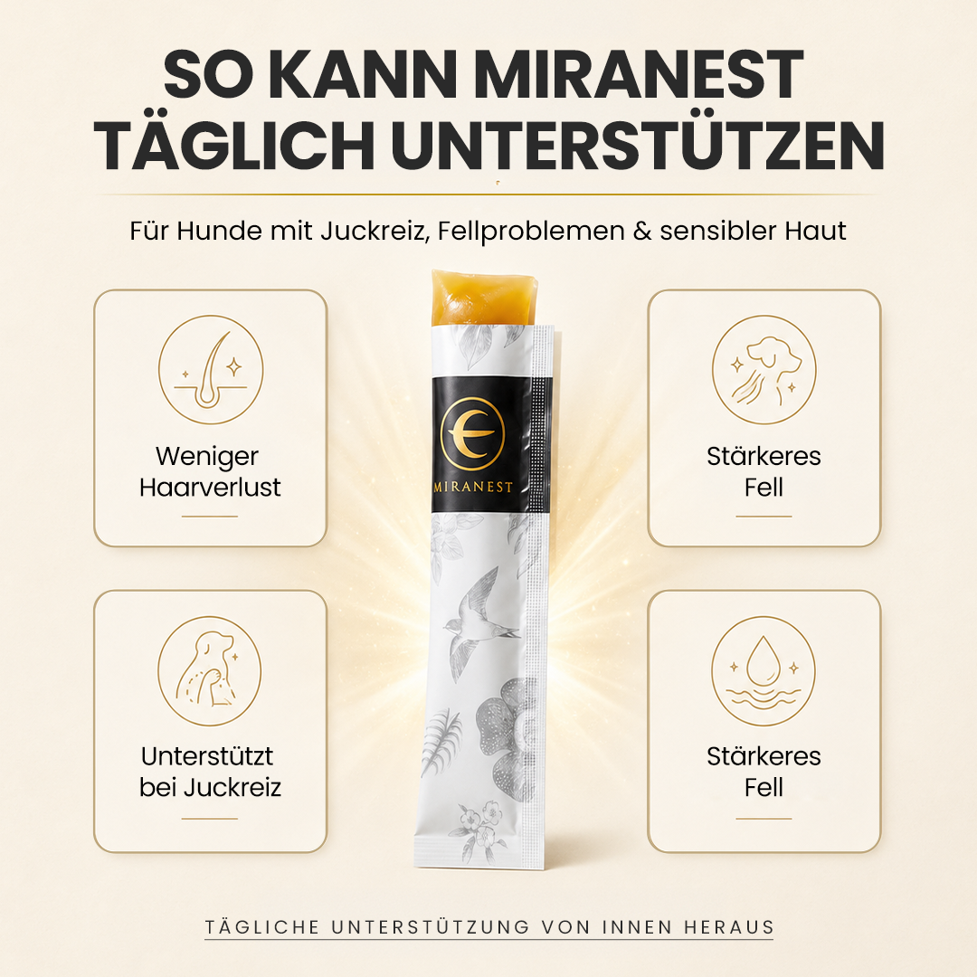 MIRANEST Jelly Stick für Hunde - 30er-Packung