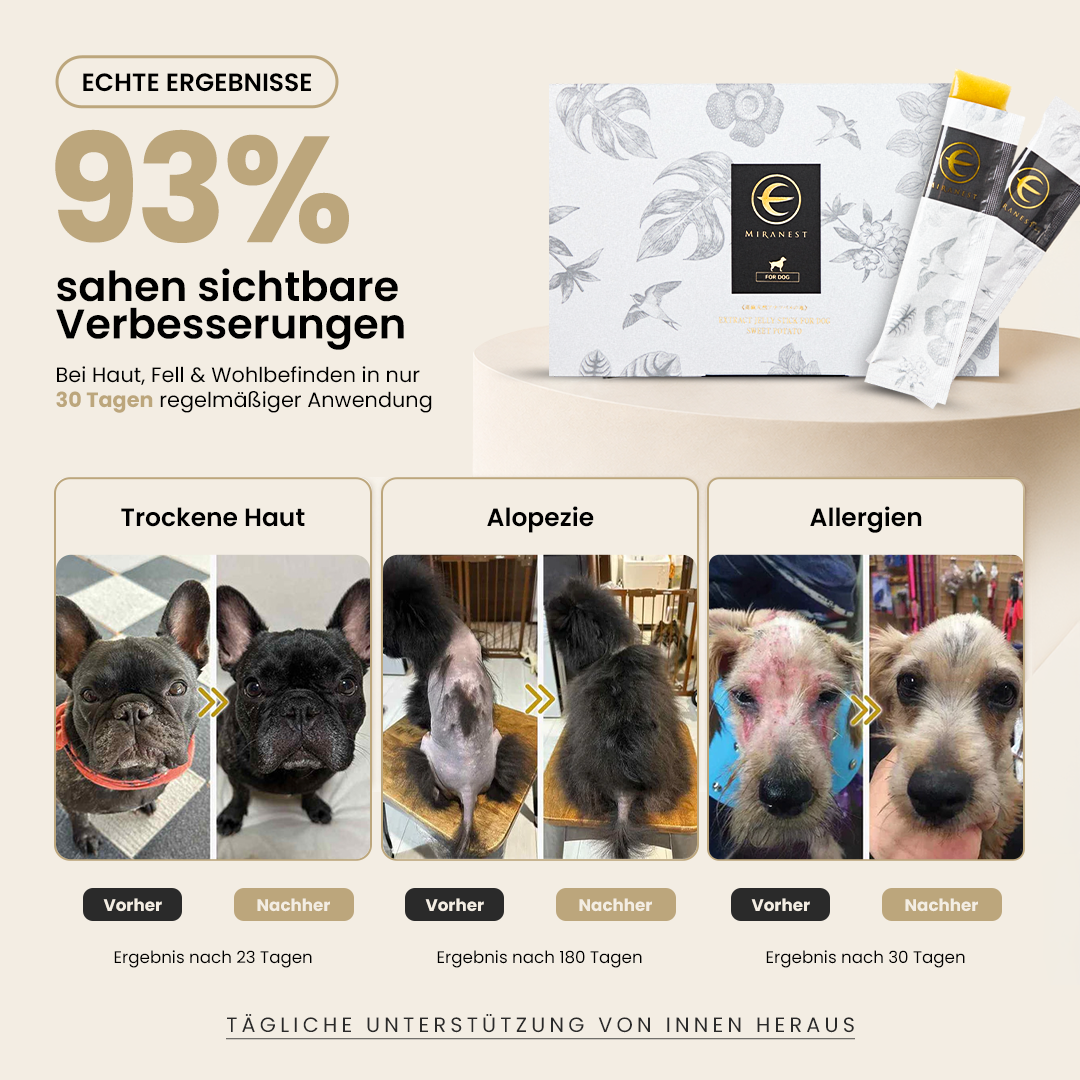MIRANEST Jelly Stick für Hunde - 30er-Packung